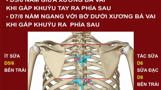 2. CHỮA TẮC TIA SỮA – PHÒNG KHÁM THIÊN Y ĐƯỜNG – 0986 880 998