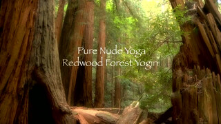 1. Pure Nude Yoga – Redwood Forest Yogini- Beginning & Intermediate Instruction  (Trailer)