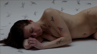 4. Art video: Body Painting Mosquito massacre by Amit Bar