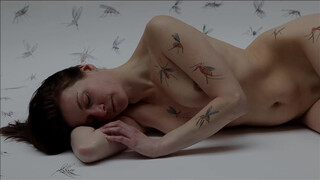 3. Art video: Body Painting Mosquito massacre by Amit Bar