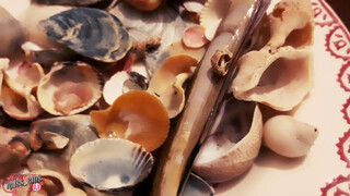 4. I see sea shells not on the sea shore…