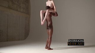 9. Interracial Art Photography (Viewer Discretion is Advised)