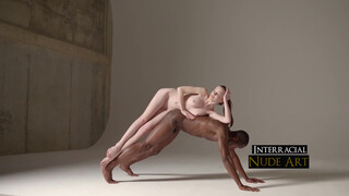 10. Interracial Art Photography (Viewer Discretion is Advised)