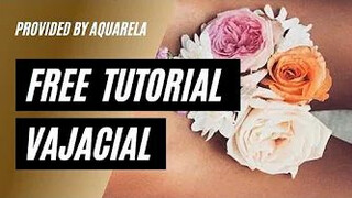 Free Tutorial – Full Vajacial with Vitamin C Peel provided by Aquarela Beauty