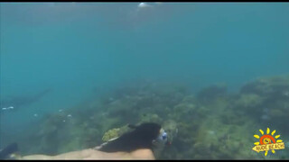9. Girl swims underwater in fins and snorkel (Девушка плавает под водой в ластах и маске с трубкой)