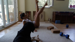 4. yoga for flexibility / splits / backbends / handstands with funny cat