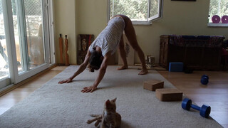7. yoga for flexibility / splits / backbends / handstands with funny cat