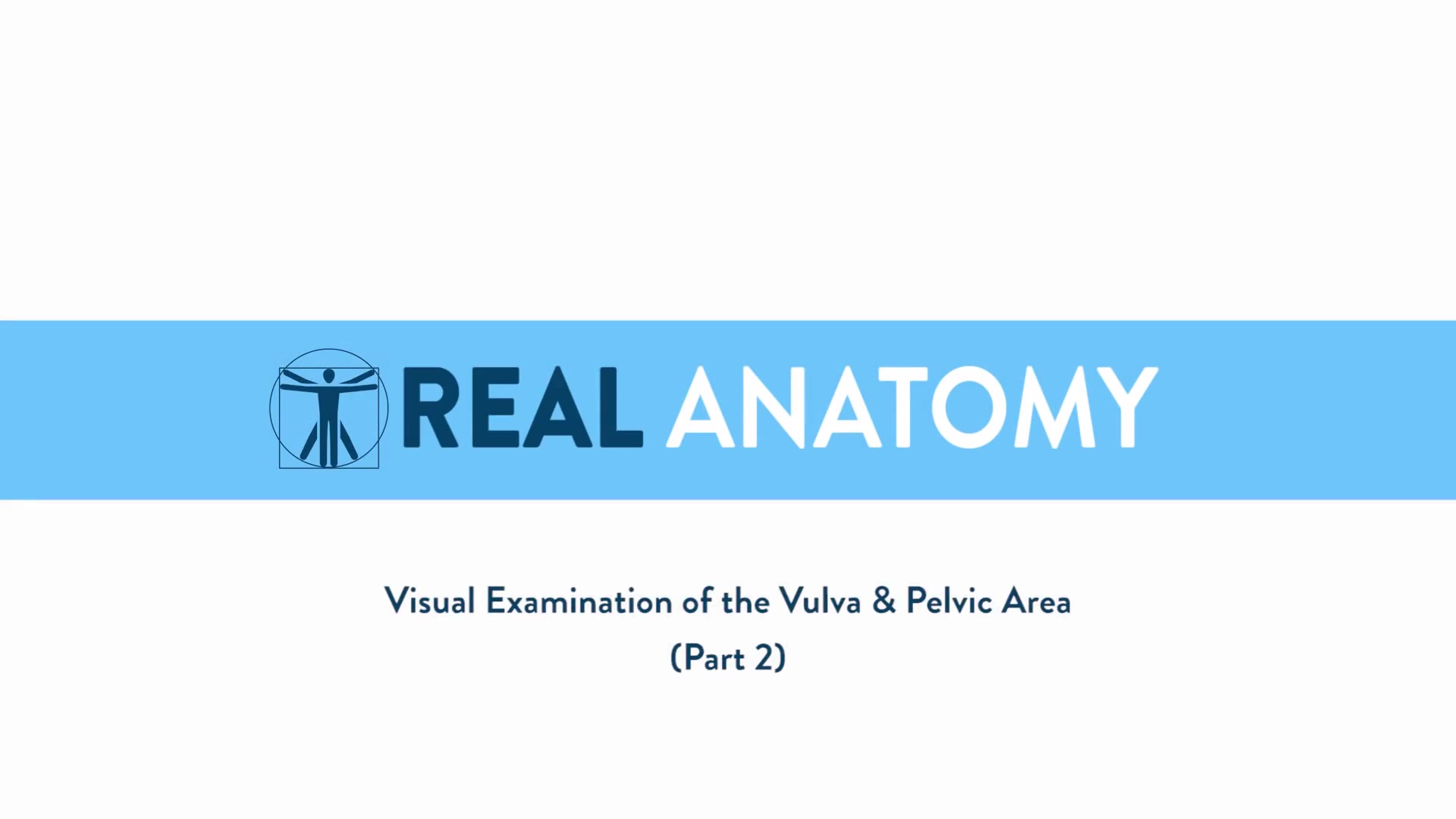Real Female Anatomy Visual Examination Of The Vulva Pelvic Areas