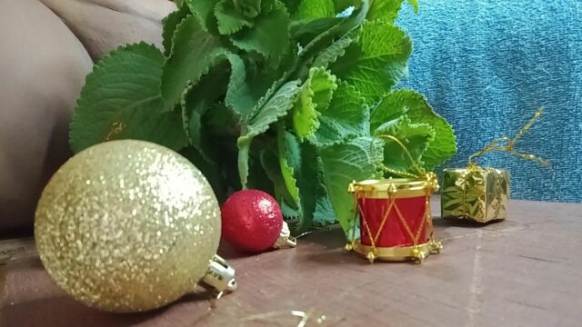 Buquê de M@lvão |  Nudity, Sexually and Explicit Video on YouTube | youncensored.com